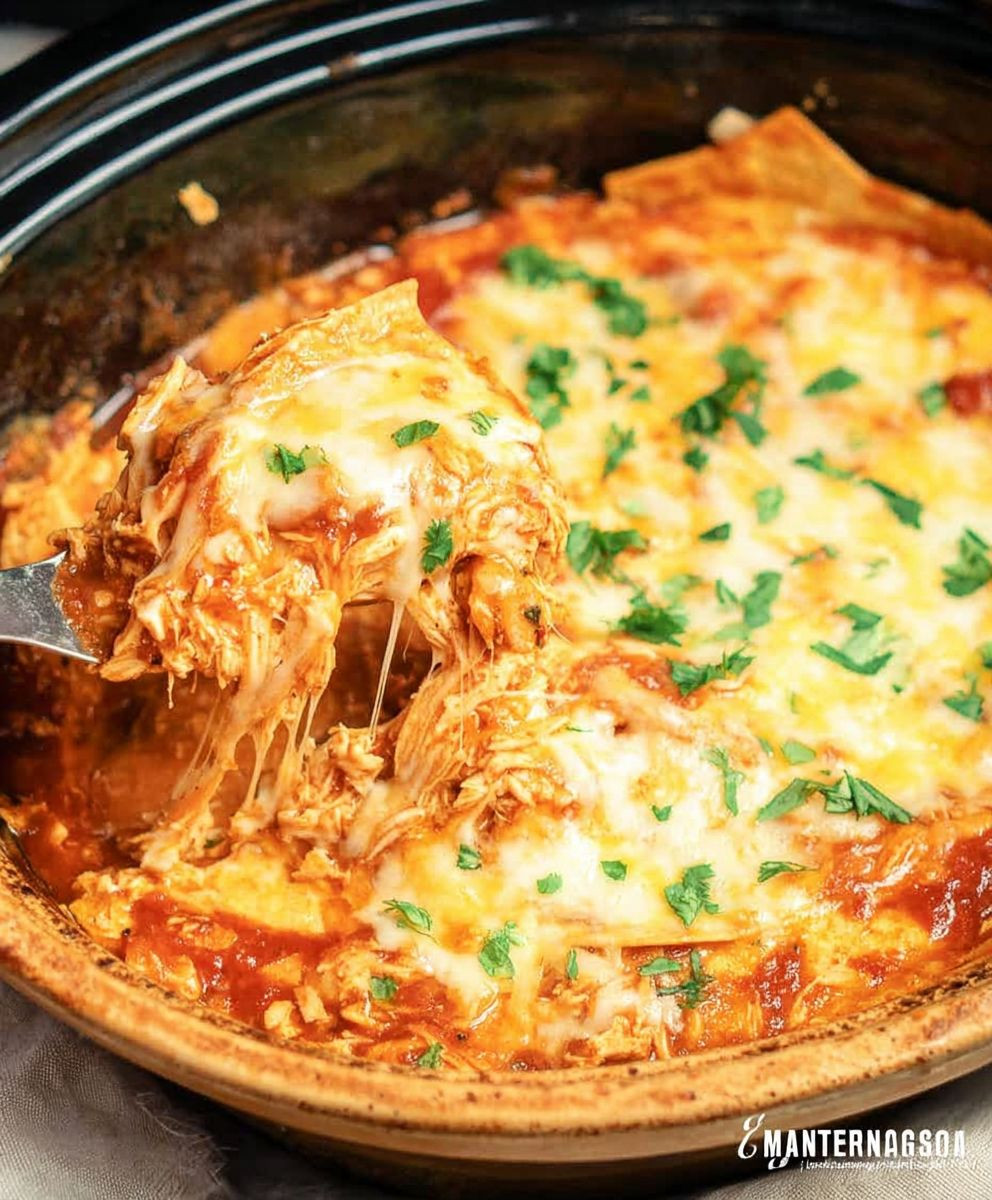 Chicken Enchilada Casserole Slow Cooker